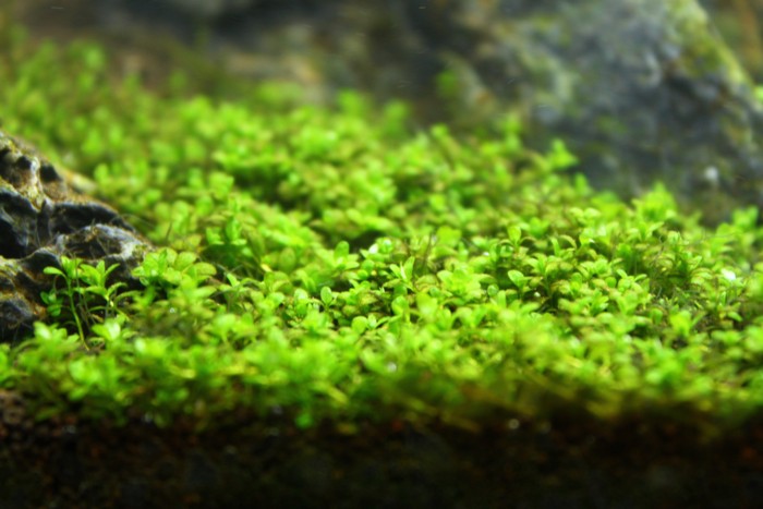 f0215410_0185120.jpg