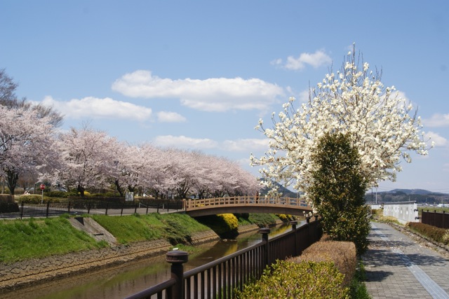 悠里館、華やぐ_f0143119_16103686.jpg