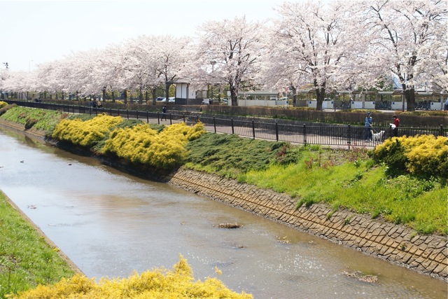 悠里館、華やぐ_f0143119_1675061.jpg