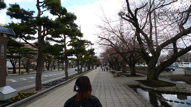 十和田市現代美術館オープニングに行ってきました【リンク先さらに追加】_d0028322_0382699.jpg
