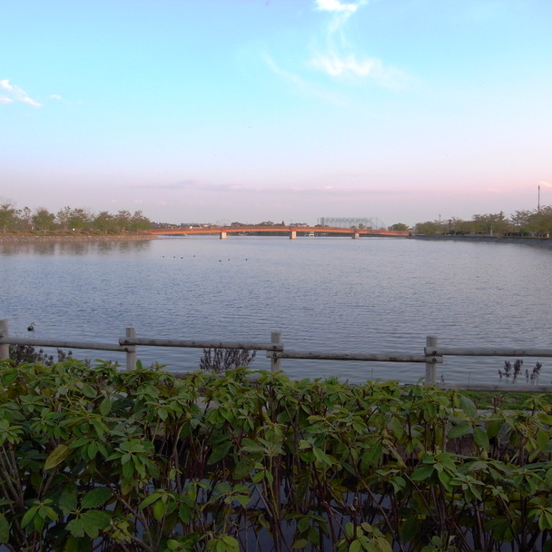 a0156526_19425790.jpg