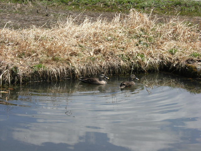 f0085327_20385072.jpg
