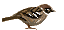 f0234728_8205212.gif