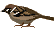 f0234728_8413663.gif