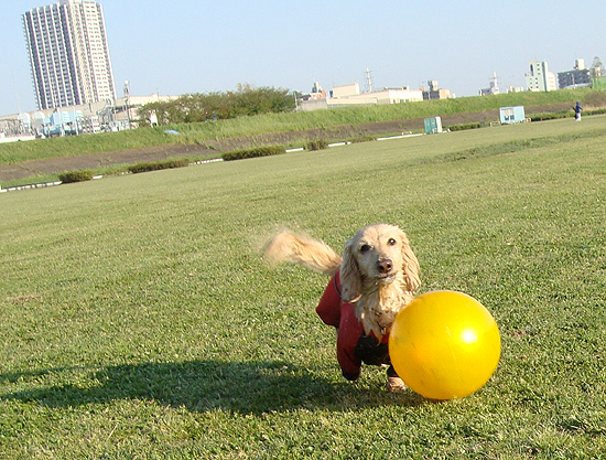 １０年４月２５日　病院でばったり！_c0117831_19464214.jpg