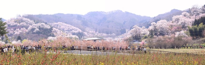 f0229832_9112577.jpg
