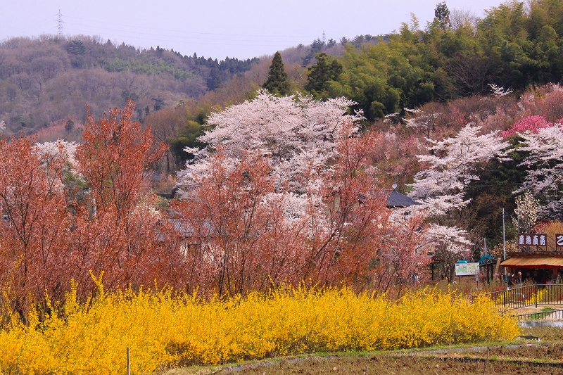 f0229832_9245160.jpg