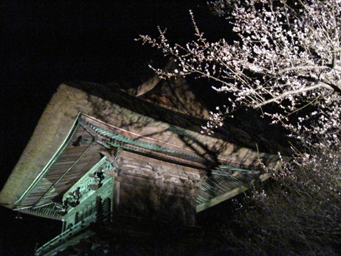 吉川忠英さくらコンサートin霊松寺開催_b0140235_7562550.jpg