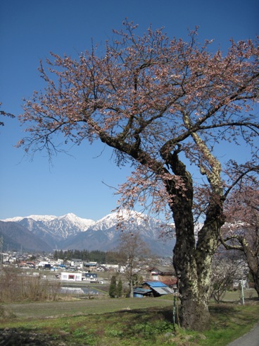 b0140235_95504.jpg