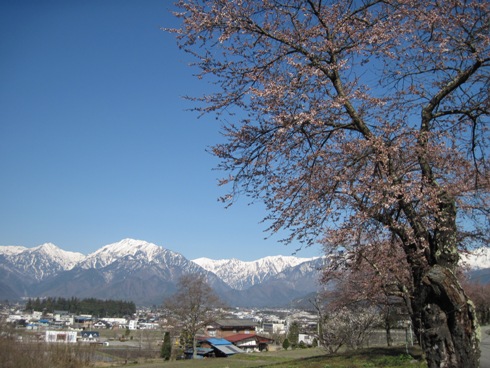 b0140235_96252.jpg