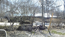 f0161535_2052366.jpg