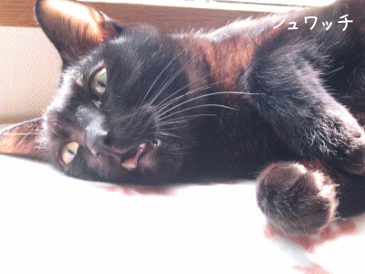 a0166338_14493449.gif
