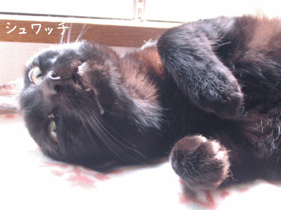 a0166338_144946100.gif