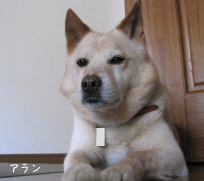 a0166338_14495946.gif