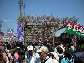 ふじの花 咲いてないのに 藤まつり♪_b0024439_1957084.jpg