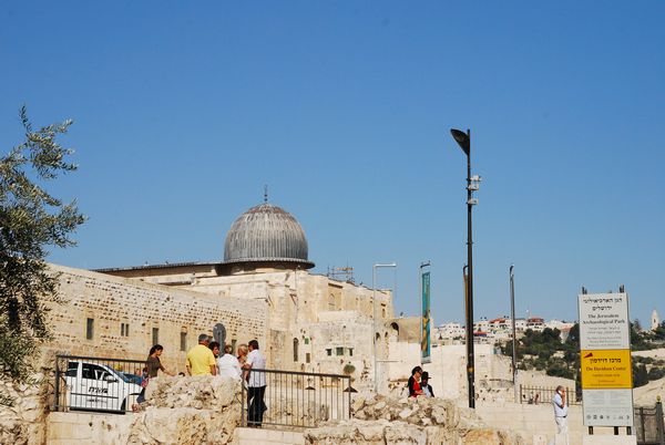 e0098241_164296.jpg