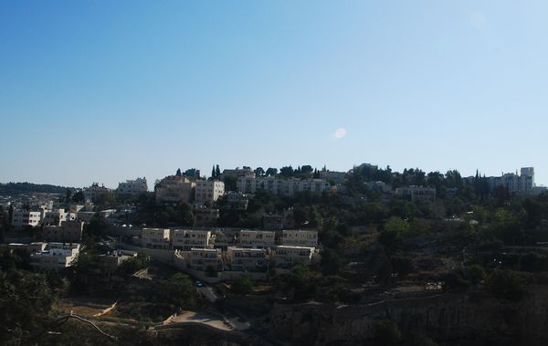 e0098241_1664263.jpg