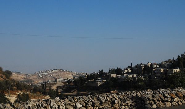 e0098241_1672949.jpg