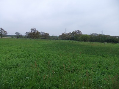 e0173645_90453.jpg