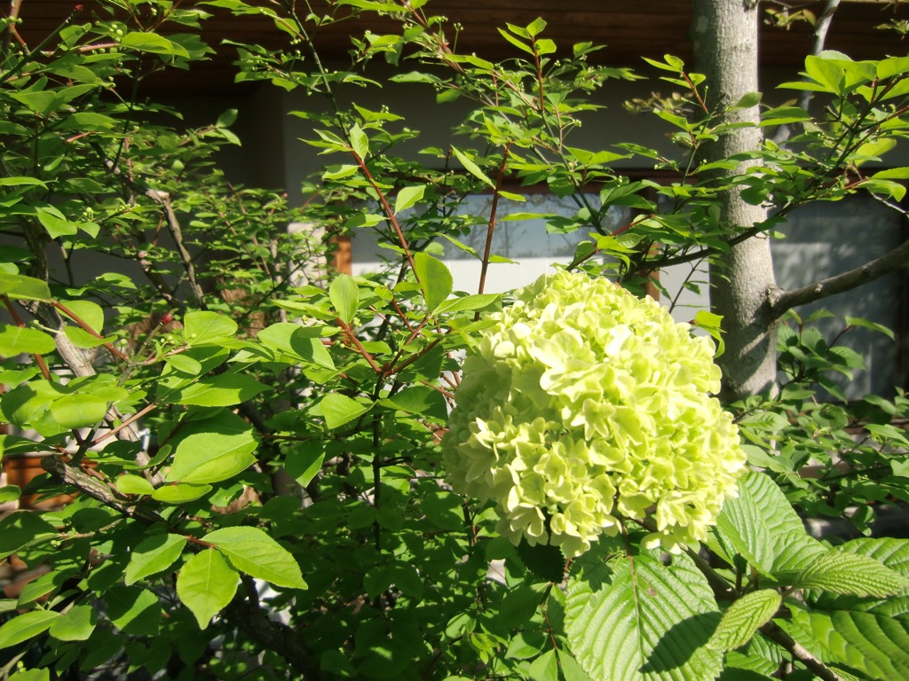 a0157651_18432178.jpg