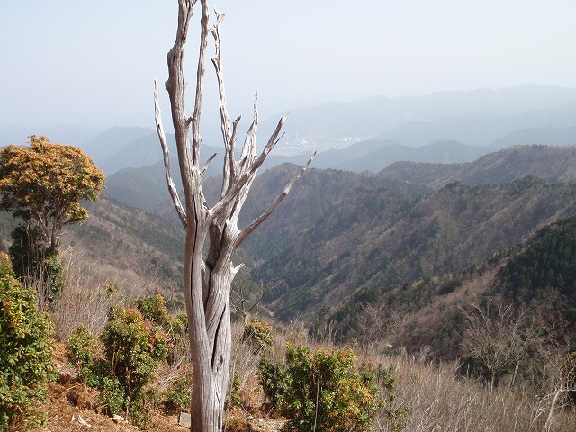 c0097754_17163912.jpg