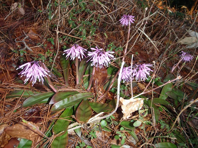 c0097754_19575331.jpg