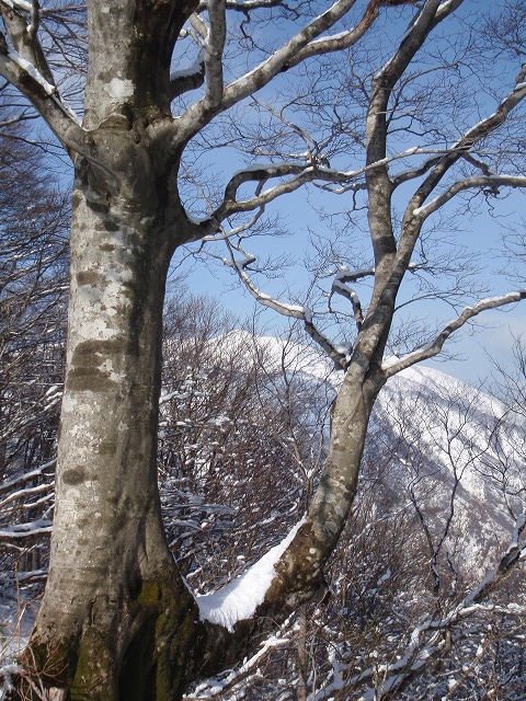 c0097754_19593861.jpg
