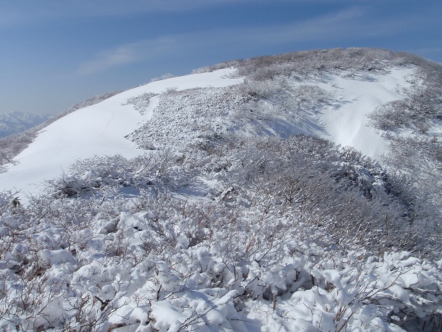 c0097754_201132.jpg