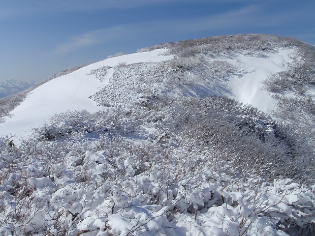 3度目でやっと繋がった銀杏峰～部子山_c0097754_201132.jpg