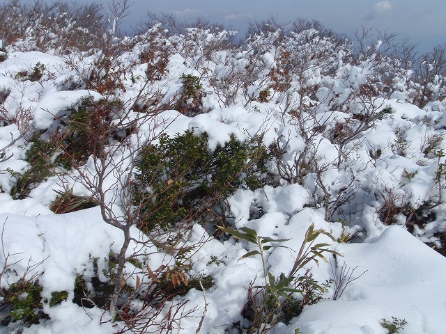 c0097754_2034938.jpg