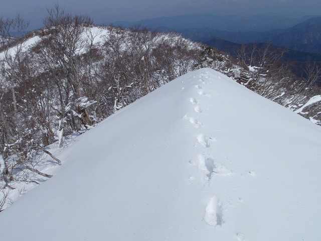 c0097754_2043260.jpg