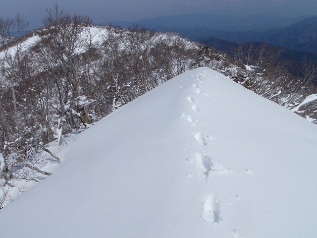 3度目でやっと繋がった銀杏峰～部子山_c0097754_2043260.jpg