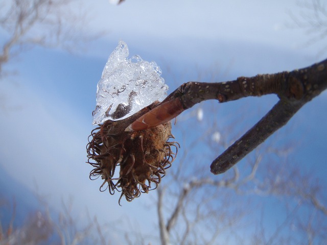 c0097754_2051054.jpg