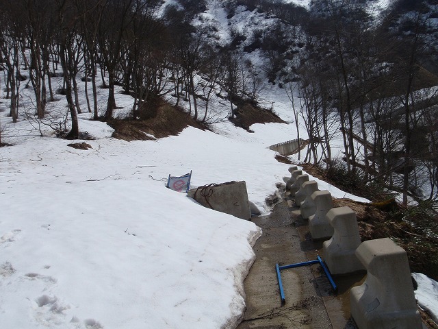 c0097754_2083961.jpg