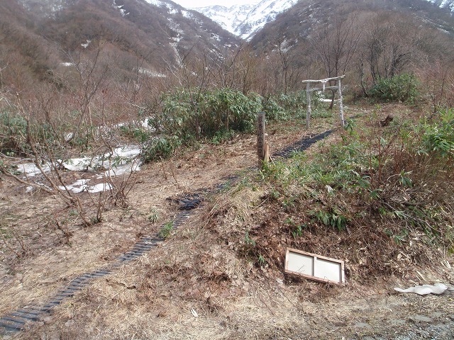 c0097754_2094273.jpg