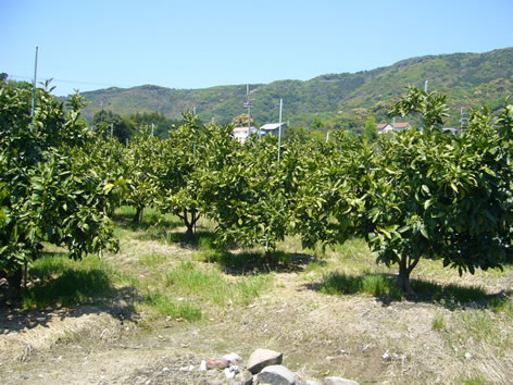 f0067354_23163286.jpg