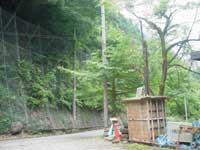 メリメリ ハリハリ (1) ~休日は自然の中で~_f0232060_17254320.jpg