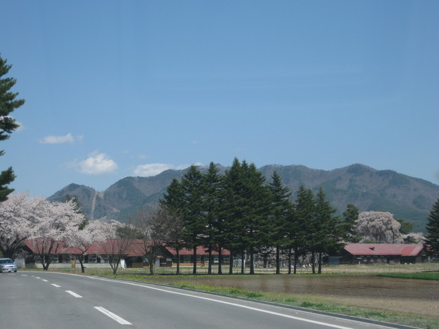 f0236260_22365022.jpg