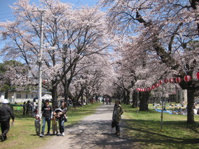 f0236260_2241063.jpg