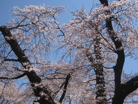 f0236260_22414212.jpg