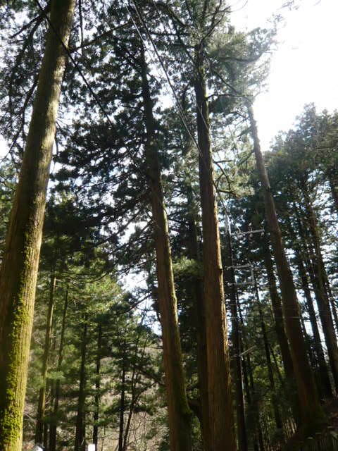 榛名神社で自然のエネルギーを深呼吸_c0130861_1085466.jpg