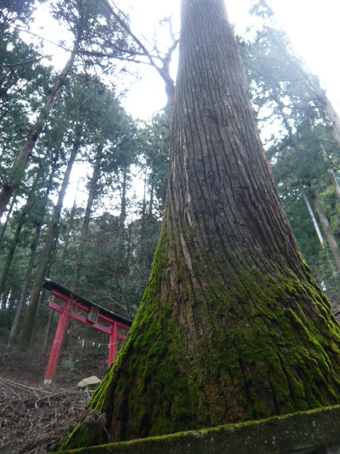 榛名神社で自然のエネルギーを深呼吸_c0130861_953477.jpg