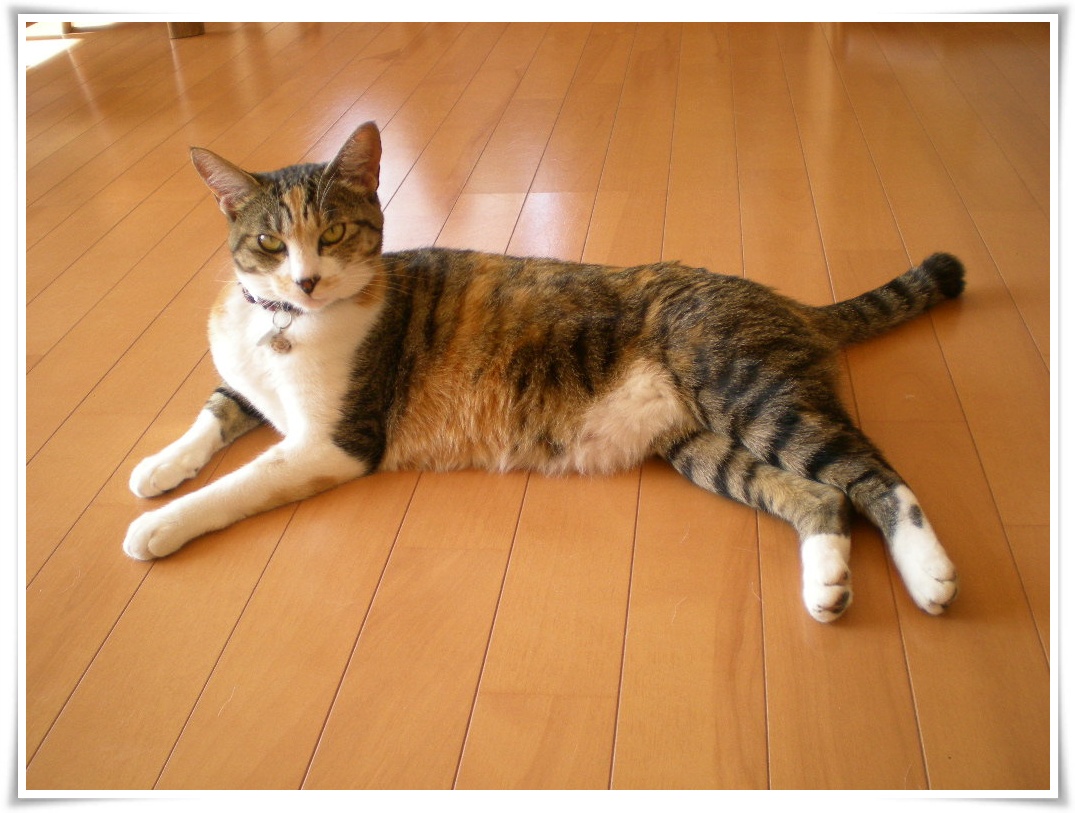 2010年4月25日(日)ここ掘れワン!ワン!_f0060461_9451355.jpg