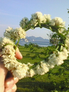 f0180166_23242831.jpg