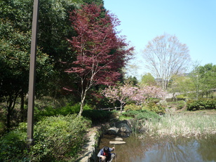 a0061973_19285312.jpg