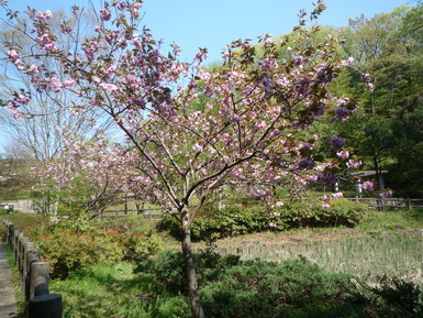 a0061973_19292315.jpg