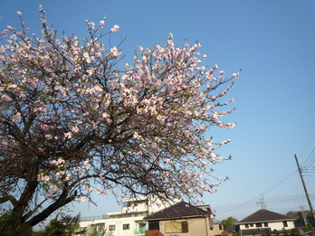 a0061973_19303230.jpg