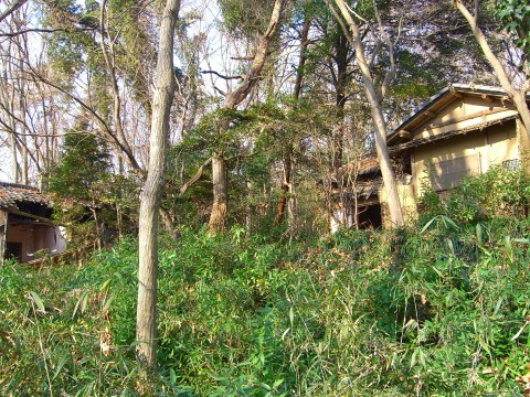 復刻愛蔵版 温泉巡り　田山花袋　帯函　未読美品　博文館新社 復刻愛蔵版 温泉巡り 田山花袋 帯函 未読美品 博文館新社 - メルカリ