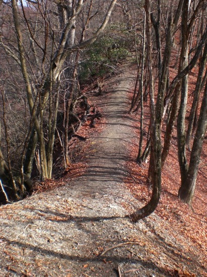 2010年３月３日　三ツドッケ～蕎麦粒山～川苔山　単独日帰り縦走　_f0238475_23115955.jpg