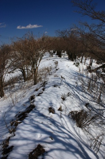 2010年３月１１日　丹沢　大山　日帰りピークハント　２名_f0238475_23223738.jpg